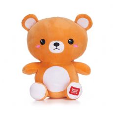 Kawaii-karhut 841903 box