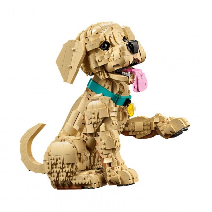 Kultaisennoutajanpentu version 3