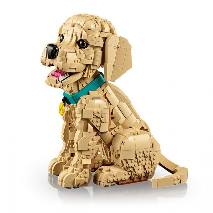 Kultaisennoutajanpentu version 4