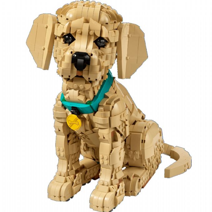 Kultaisennoutajanpentu version 1