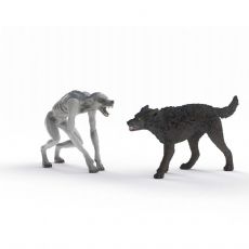 Varulv vs. Animagus