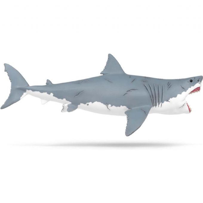 Megalodon version 2
