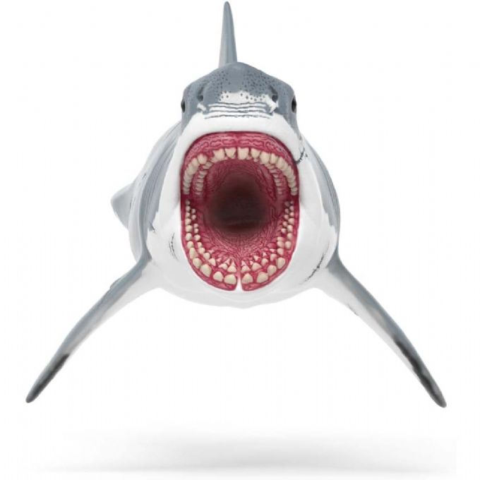 Megalodon version 3