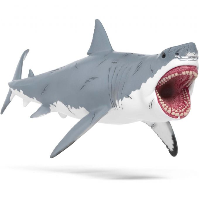 Megalodon version 1